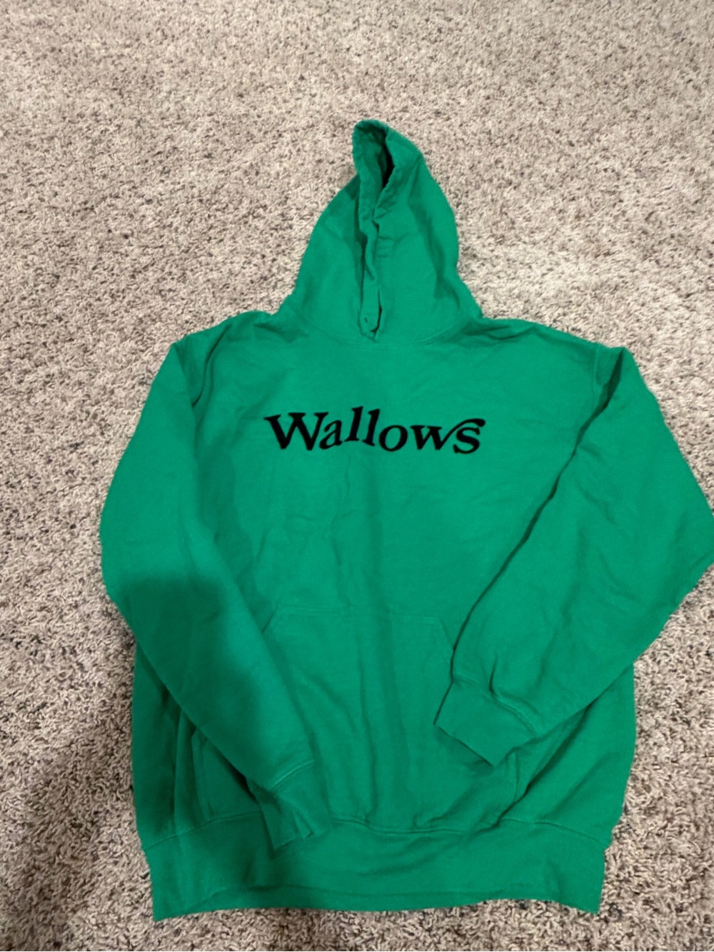 Wallows ‘22 Tour Green Logo Hoodie